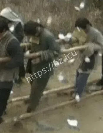 湘南僵尸村传说